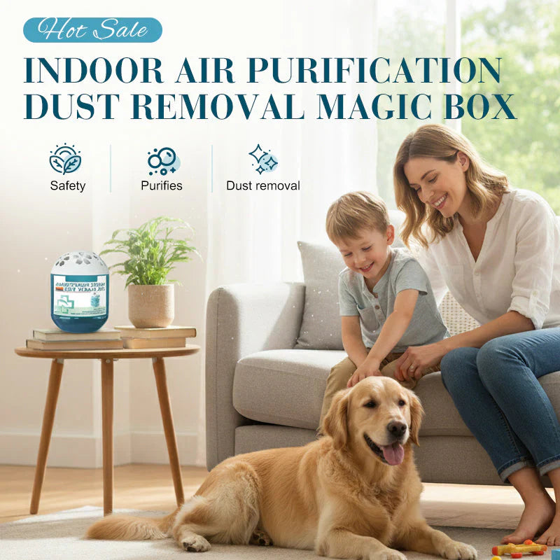 💥Flash Deal💥LBMLBM® Indoor Air Purification Dust Removal Magic Box